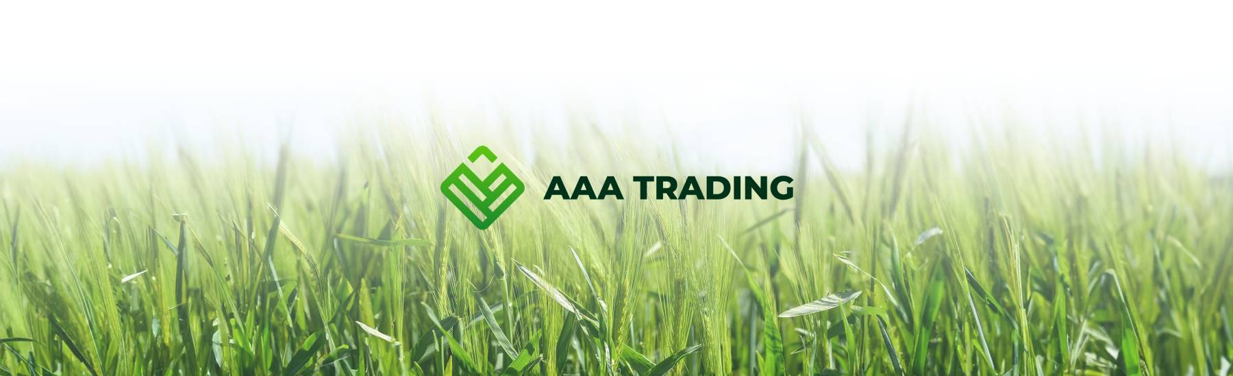 AAA TRADING COMPANY